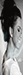 Bayan avatar