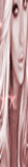 Bayan avatar